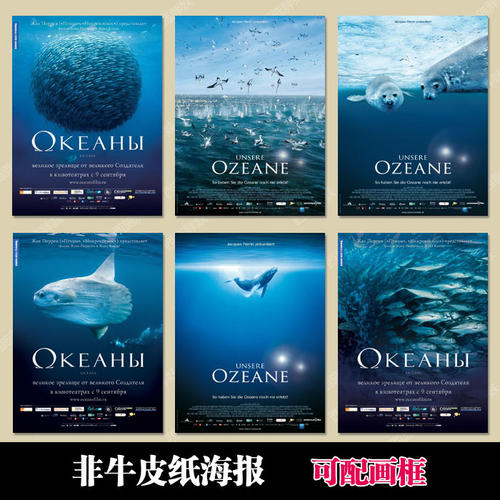 存款证明和资金证明
